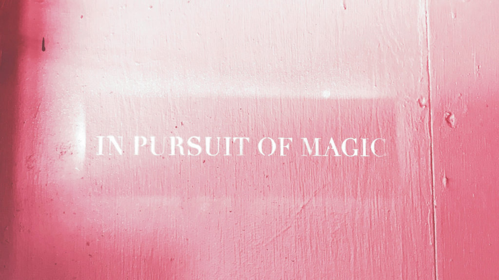 in pursuit of magic